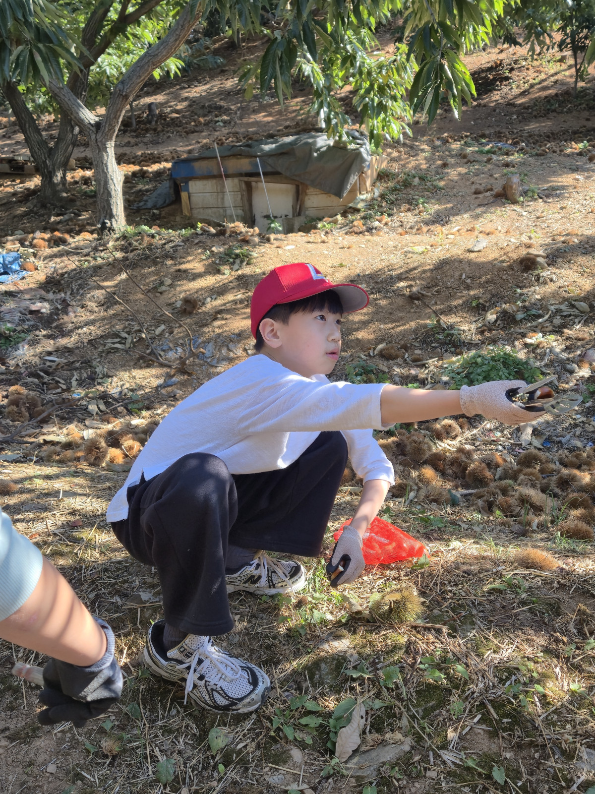 d3d553dda9782bbf4f7933bf7e897d2c_1792236320_0885.jpeg